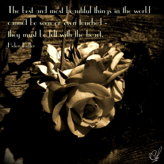A rose in sepia tone with a quote from Helen Keller...